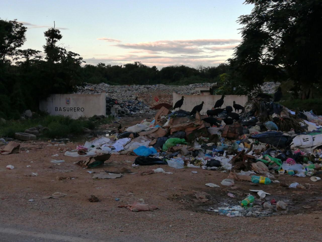 Felipe Carrillo Puerto, con problemas para recolectar 70 toneladas diarias de basura