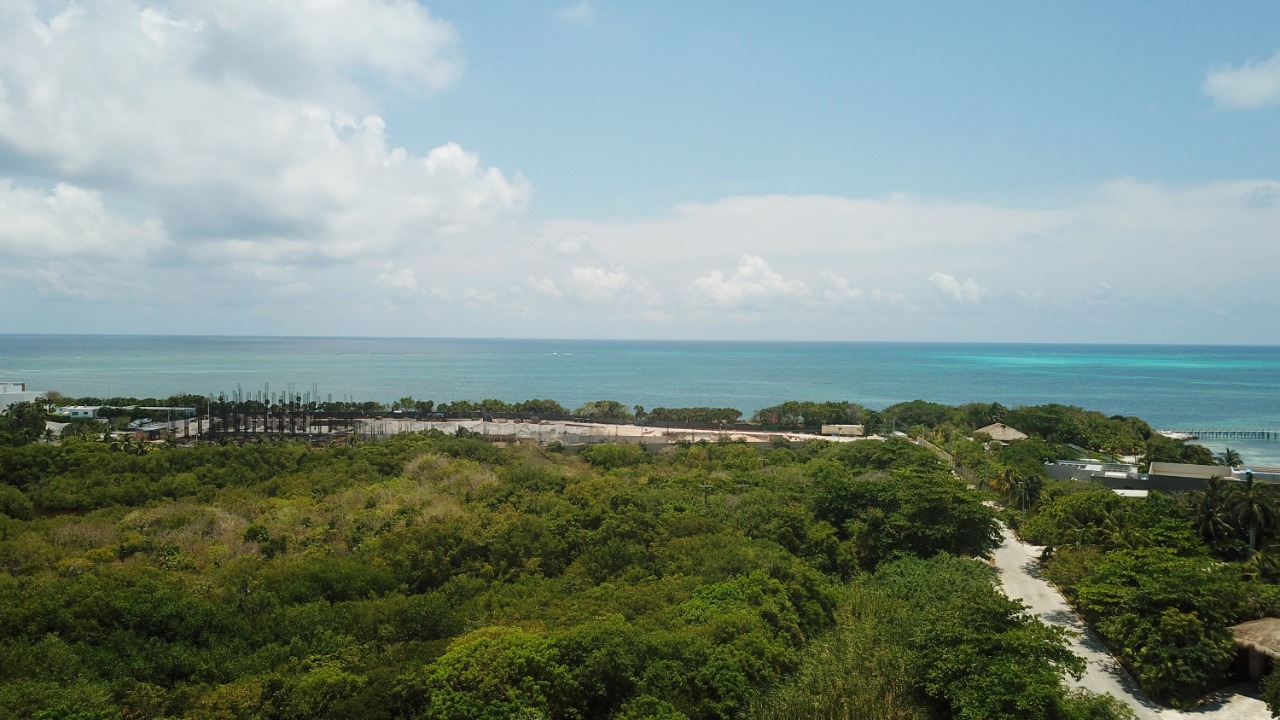 Grupo Riu sustenta legalmente viabilidad de proyecto en Punta Nizuc