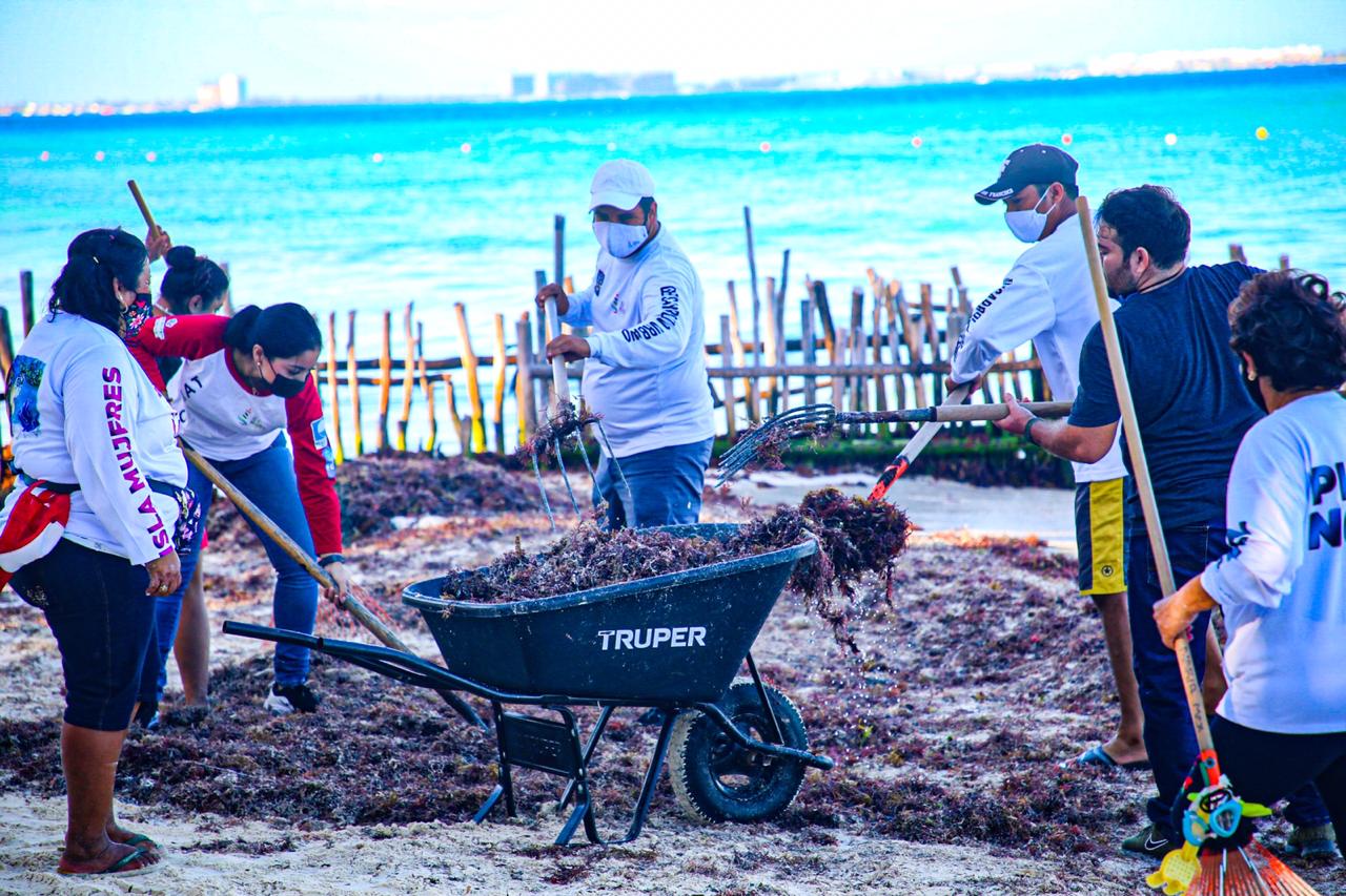 Ayuntamiento de Isla Mujeres combate arribazón de sargazo en sus playas
