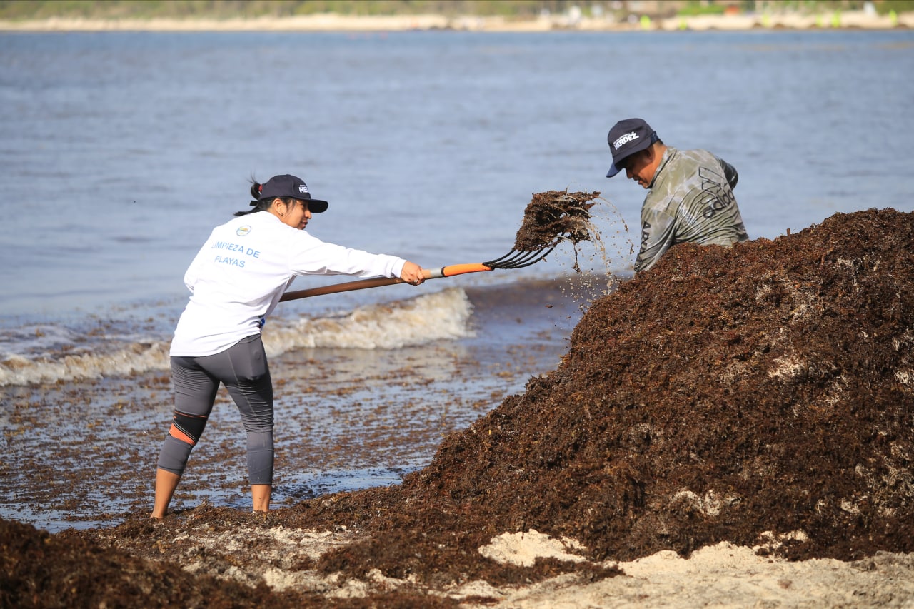 Voluntarios se suman a limpieza de playas