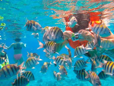 Uno de los atractivos favoritos de los turistas, en nadar en el gran arrecife de Cozumel.