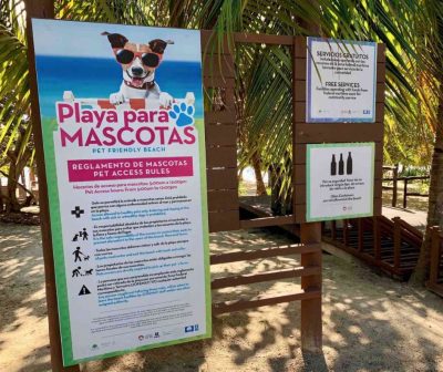 playas pet friendly en Cancún