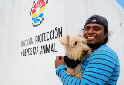 Trato digno y responsable para las mascotas en Cancún