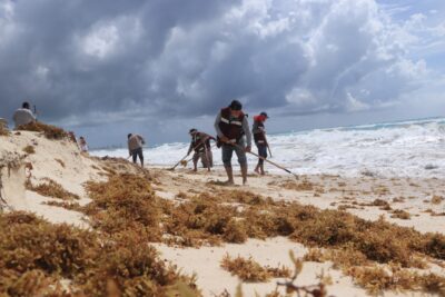 Garantiza gobierno de Ana Patricia Peralta playas limpias de Cancún 