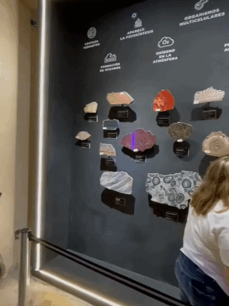 Progreso Yucatán: Como recomendación podrías ir al Museo del Meteorito en donde conocerás sobre el impacto de Chicxulub
