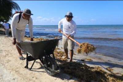 En Solidaridad, el equipo de la Zona Federal Marítimo Terrestre (Zofemat) continúa con acciones de limpieza de playas