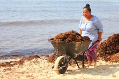 El gobierno de Lili Campos, a través de diversas secretarías, direcciones e institutos, participó en jornada sabatina de limpieza de playas