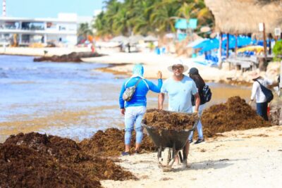 El gobierno de Lili Campos, a través de diversas secretarías, direcciones e institutos, participó en jornada sabatina de limpieza de playas
