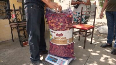 realizan vinculación comercial de 315 kilos de chile habanero de productores de Kantunilkín