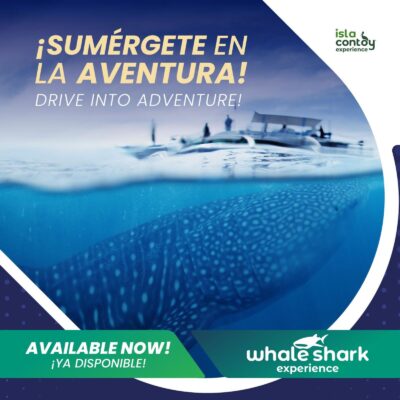 Isla Contoy Experience tiburón ballena