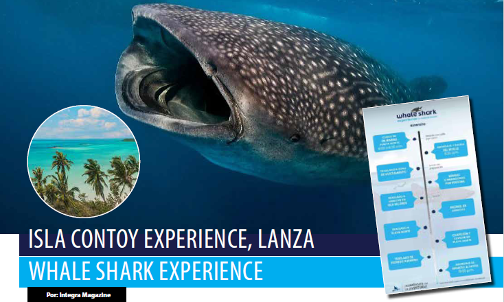 Isla Contoy Experience, Lanza Whale Shark Experience