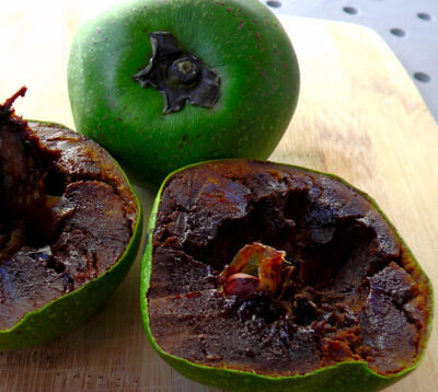 Frutas típicas de Quintana Roo: Zapote negro
