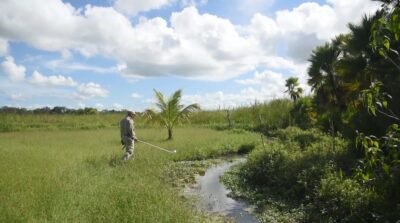 Secretaría de salud de Quintana Roo contra el Paludismo