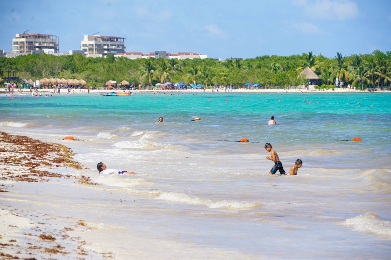 Las playas se disfrutan. Conoce el termómetro del sargazo.