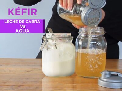 El kéfir, también conocido como búlgaros de leche. Protegen contra la acidez natural del estómago. Mejoran la digestión y flora intestinal