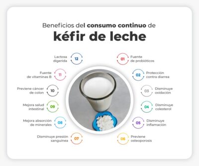 El kéfir, también conocido como búlgaros de leche. Protegen contra la acidez natural del estómago. Mejoran la digestión y flora intestinal