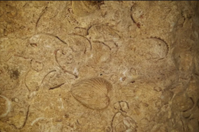 cueva de las serpientes colgantes, visita José María Morelos, Quintana Roo, Caribe Mexicano