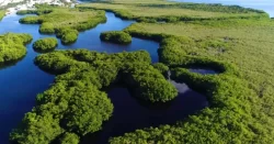 Certeza jurídica en Quintana Roo