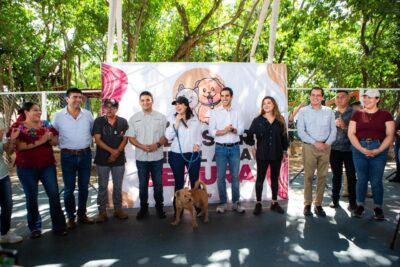 Segura y Mercado trabajando por Solidaridad