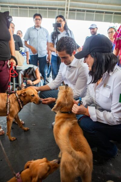 Los animales, deben ser mascotas bien cuidadas