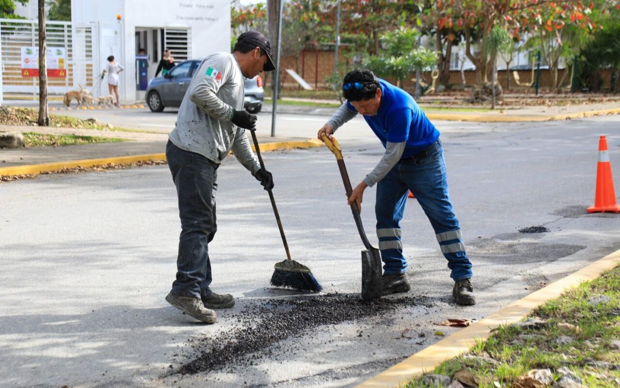 Programa de Bacheo