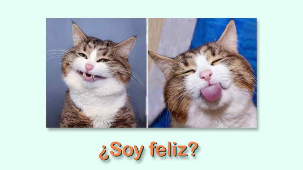 Día Internacional de la Felicidad: Celebrando el bienestar y la plenitud. El 20 de marzo es una fecha especial para reflexionar sobre un concepto universal. La felicidad. Como seres humanos, todos buscamos la realización personal y el bienestar en todos los sentidos. Ya sea emocional, físico, social o espiritual. El Día Internacional de la Felicidad; es una ocasión para recordar lo que realmente importa en la vida y cómo podemos alcanzar un estado de plenitud y equilibrio en nuestro día a día.