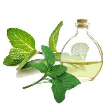 Aromas infantiles