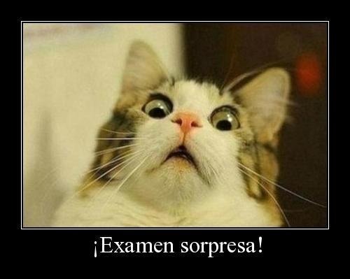 Las sorpresas, Historias de vida, no son solo eventos inesperados, mas bien nos definen como seres humanos que dejan huella en tu vida.