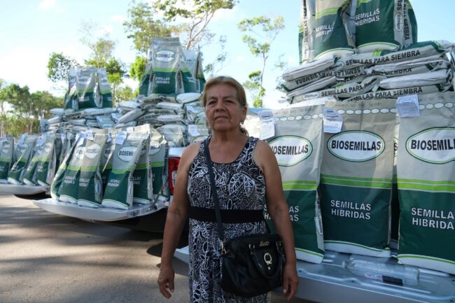 Mara Lezama entrega de 70 toneladas de semilla mejorada de maíz a casi 1,700 familias fortaleciendo la seguridad alimentaria.