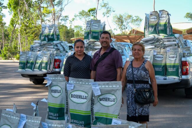 Mara Lezama entrega de 70 toneladas de semilla mejorada de maíz a casi 1,700 familias fortaleciendo la seguridad alimentaria.