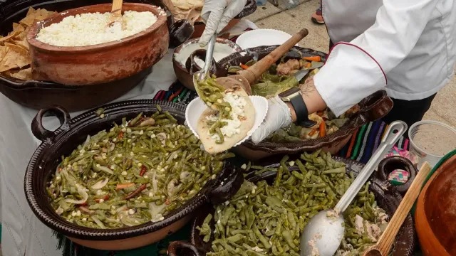 Nopal y sus beneficios . Su contenido en fibra, vitaminas, antioxidantes. Es una planta originaria de México con alto valor nutricional y medicinal.