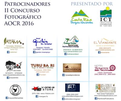 Al desarrollar un festival cultural, es fundamental diseñar experiencias donde las marcas patrocinadoras puedan integrarse. La comunidad identificará la marca o marcas 