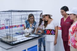 Inauguran Mara Lezama y Atenea Gómez el primer Centro de Bienestar y Control Animal en Isla Mujeres, para la protección de mascotas.