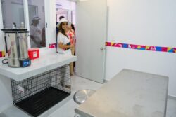 Área médica del Centro de Bienestar Animal en Isla Mujeres