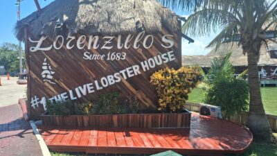 The Winelovers Tours: turismo enológico en Cancún