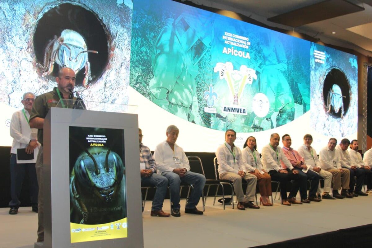 Chetumal será sede del Congreso Apícola 2026 Chetumal será sede del Congreso Apícola 2026