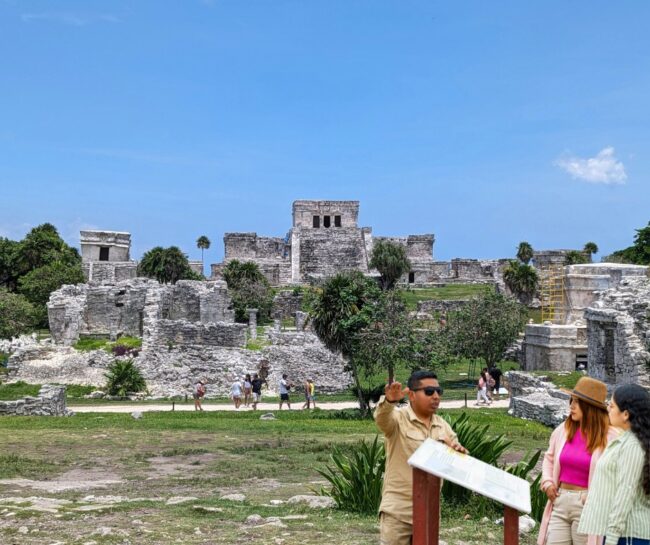 Gentrificación Caribeña conviértela en Éxito Joven