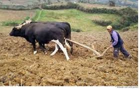 La IA ya está aquí