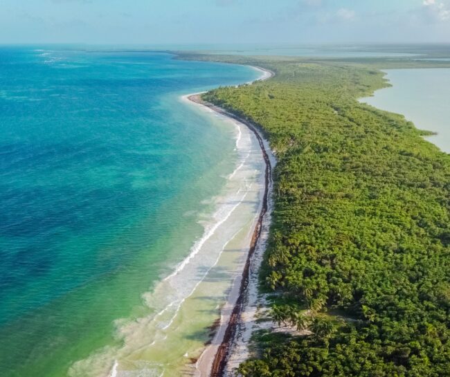 Caribe Mexicano