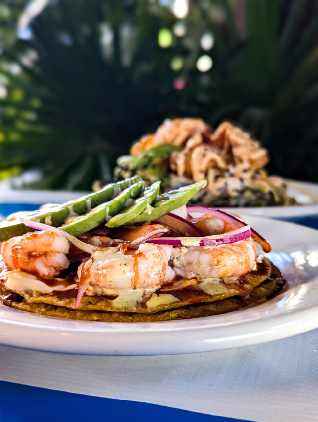 una propuesta que combina sabor en Playa del Carmen