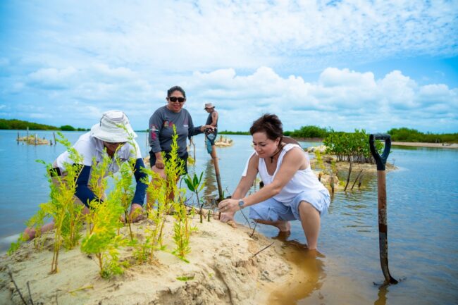 FPMC conmemoró el Día Internacional de Conservación del Ecosistema de Manglares con restauración ambiental y meditación en Punta Sur.
