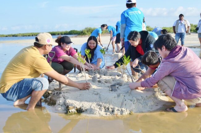 FPMC invita a la Jornada de restauración del manglar en Punta Sur para fortalecer la Conservación del Ecosistema de Manglar en Cozumel.