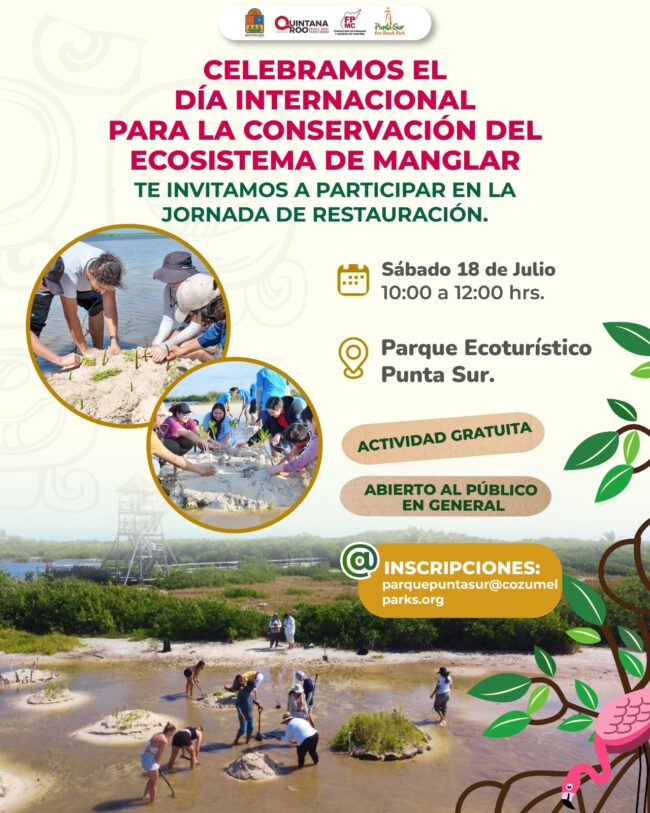 FPMC invita a la Jornada de restauración del manglar en Punta Sur para fortalecer la Conservación del Ecosistema de Manglar en Cozumel.