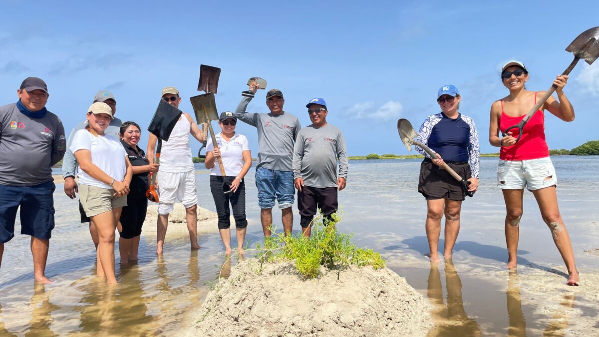 FPMC invita a la Jornada de restauración del manglar en Punta Sur