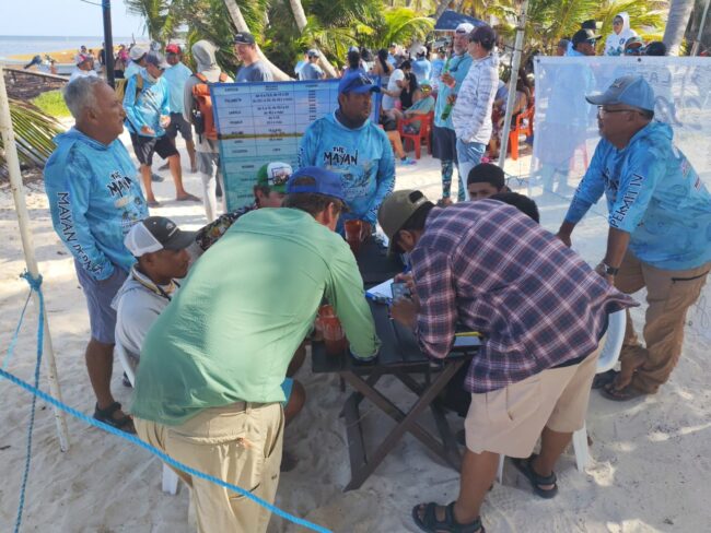 IBANQROO Pesca sustentable en Xcalak durante The Mayan Permit 2026: 136 ejemplares fueron capturados y liberados en favor de la conservación.