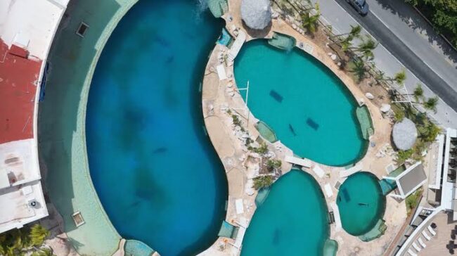 Indignación, dónde está PROFEPA. Denuncia en redes sociales sobre 9 delfines, quieren Fin al cautiverio en México. 