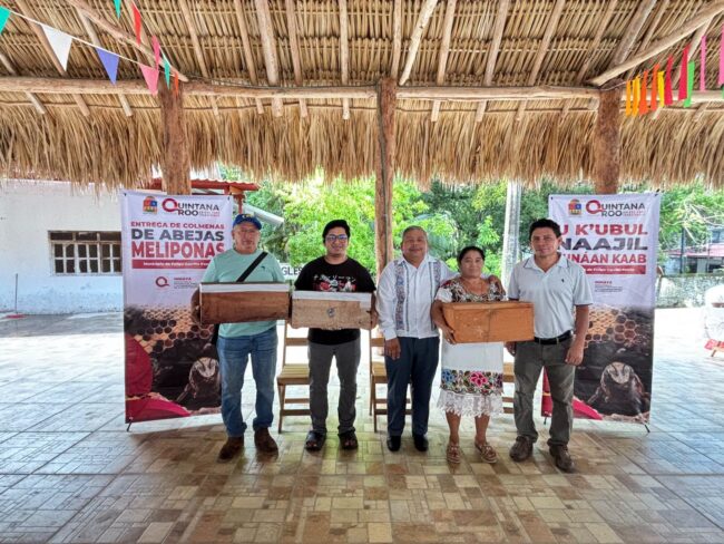 abejas meliponas en Quintana Roo, parteras tradicionales de Quintana Roo, pueblos y comunidades indígenas, derechos humanos en Quintana Roo, enfoque intercultural, prevención de la trata de personas, conocimientos comunitarios