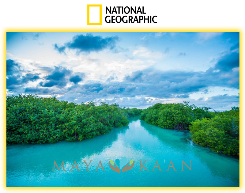 National Geographic destaca a Maya Ka’an para viajar en 2027